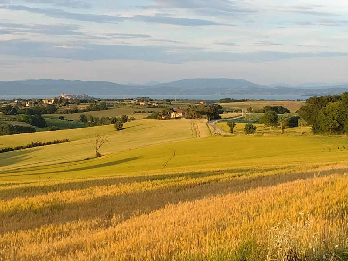 Vila Casa La Selvella Gioiella Exteriér fotografie